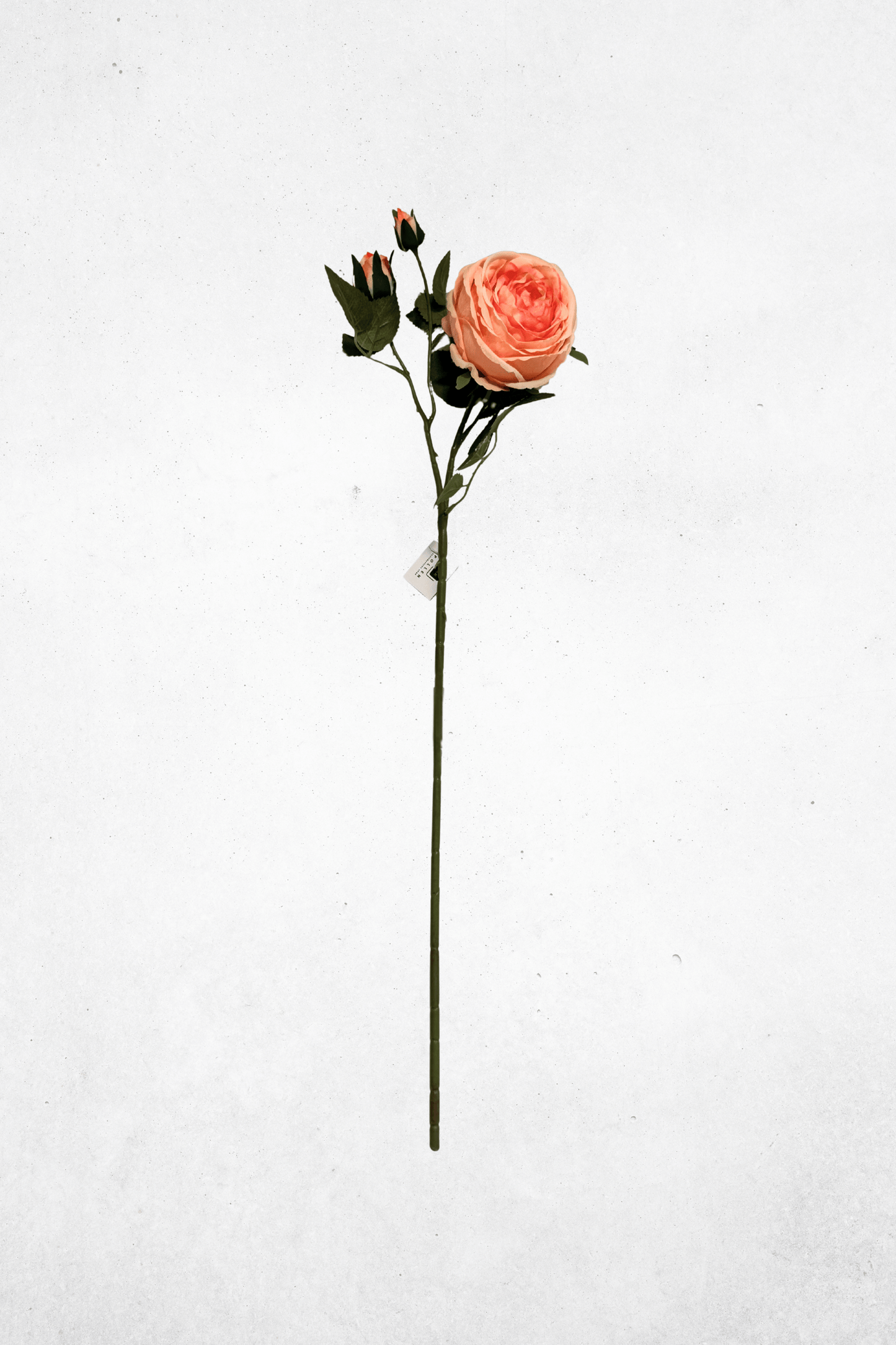 Kunstblume Pfingstrose Aprikose 75cm