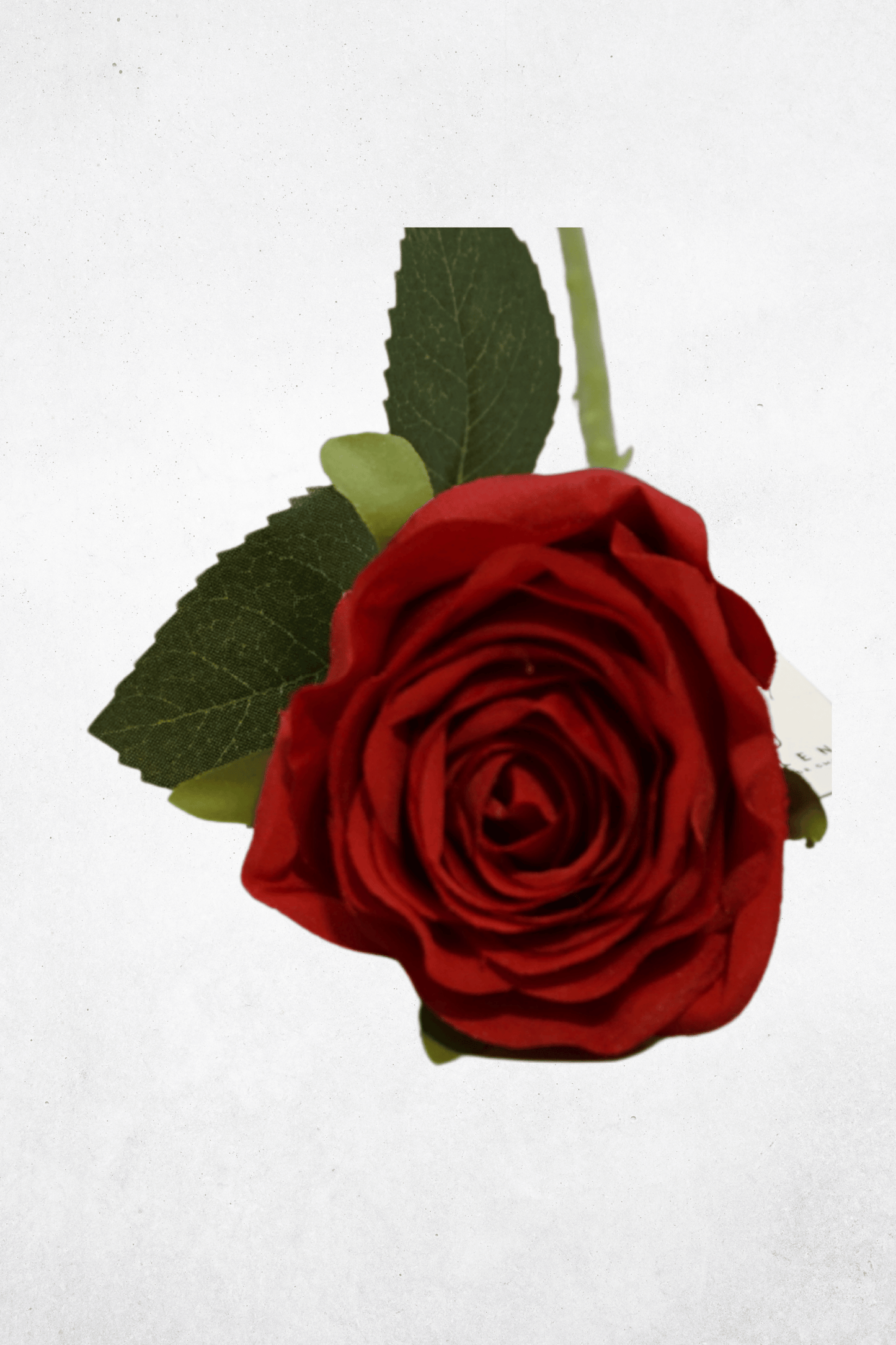 Kunstblume Rose - 50cm - Cremeweiß/Rot - Kunstrose für Tischdeko & Hochzeitsgestecke