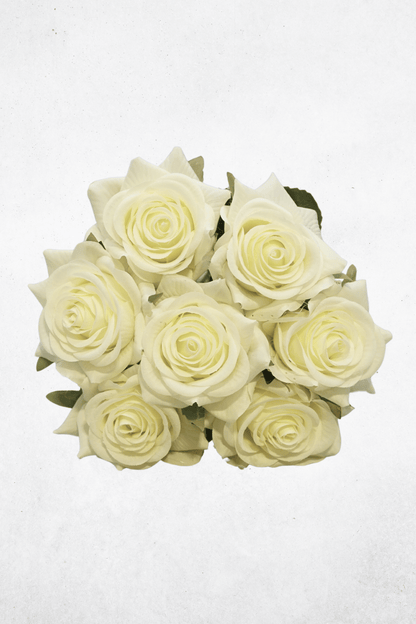 Kunstblume Rose - 35 cm - Cremeweiß/Aprikose - Kunstrose für Tischdeko & Hochzeitsgestecke