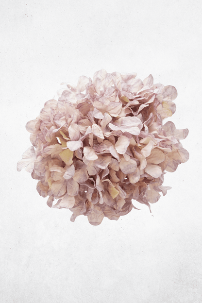 Kunstblume Hortensie - 55cm - Rosa/Blau/Rosé - Langlebige Kunstblume für Events & Wohnräume