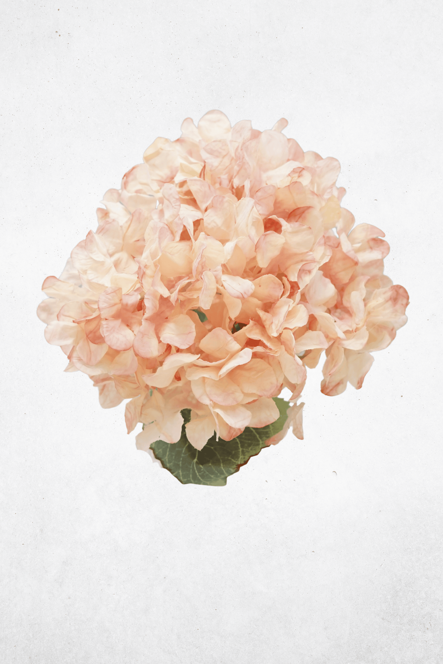 Kunstblume Hortensie - 55cm - Rosa/Blau/Rosé - Langlebige Kunstblume für Events & Wohnräume