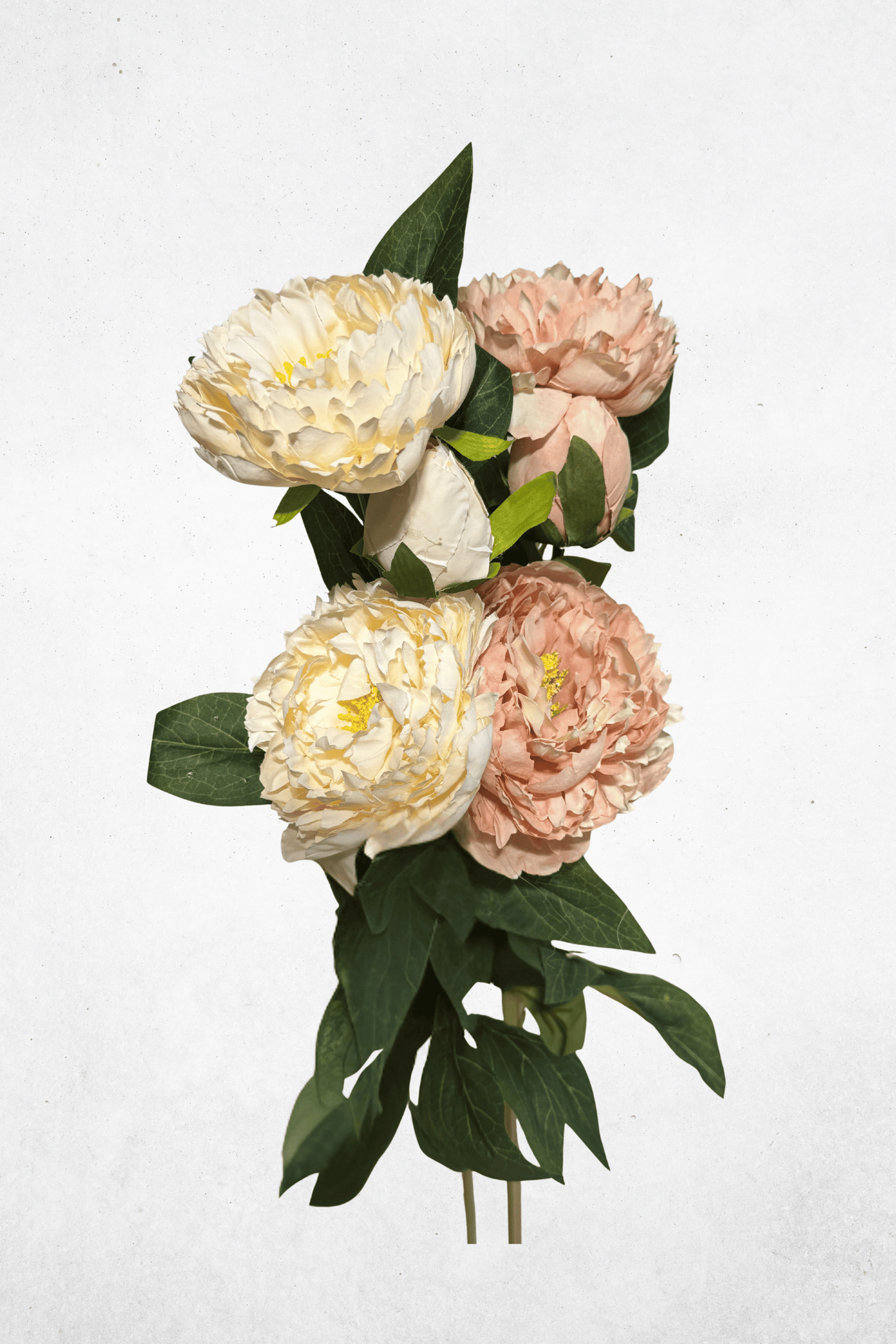 Kunstblume Pfingstrose 3-Köpfig - 75cm - Cremeweiß/Hellrosa - Täuschend echt für Tischdeko & Hochzeitsdekoration