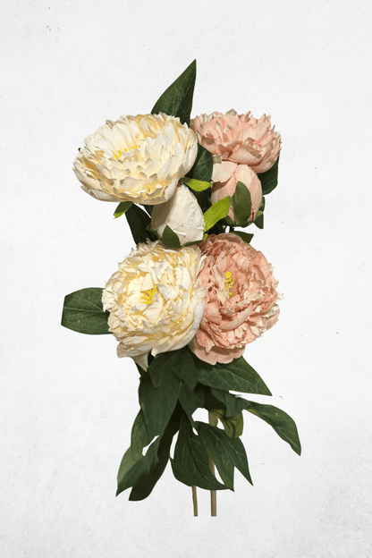 Kunstblume Pfingstrose 3-Köpfig - 75cm - Cremeweiß/Hellrosa - Täuschend echt für Tischdeko & Hochzeitsdekoration