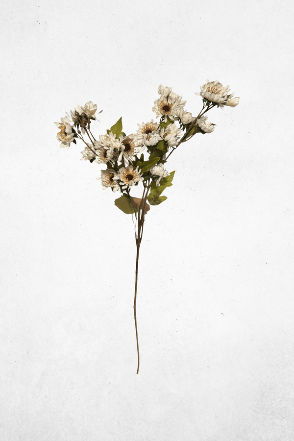 Kunstblume Gänseblümchen Cremeweiß - Kunstblume für natürliche & verspielte Deko