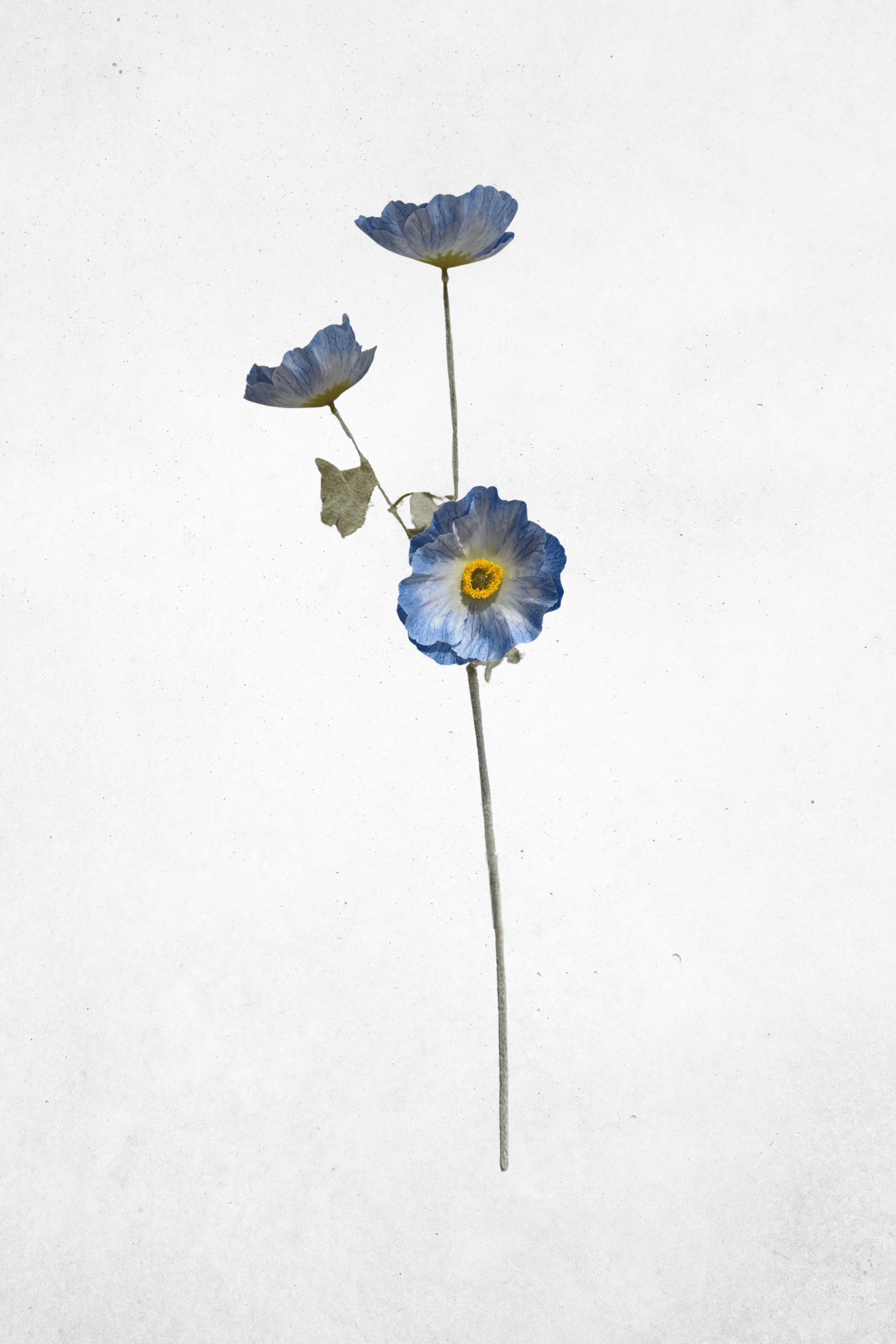 Kunstblume Mohnblume 3-Köpfig Blau 61cm