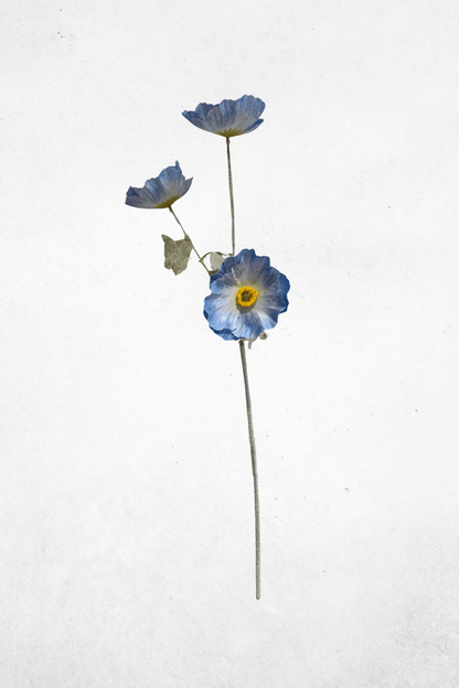 Kunstblume Mohnblume 3-Köpfig Blau 61cm