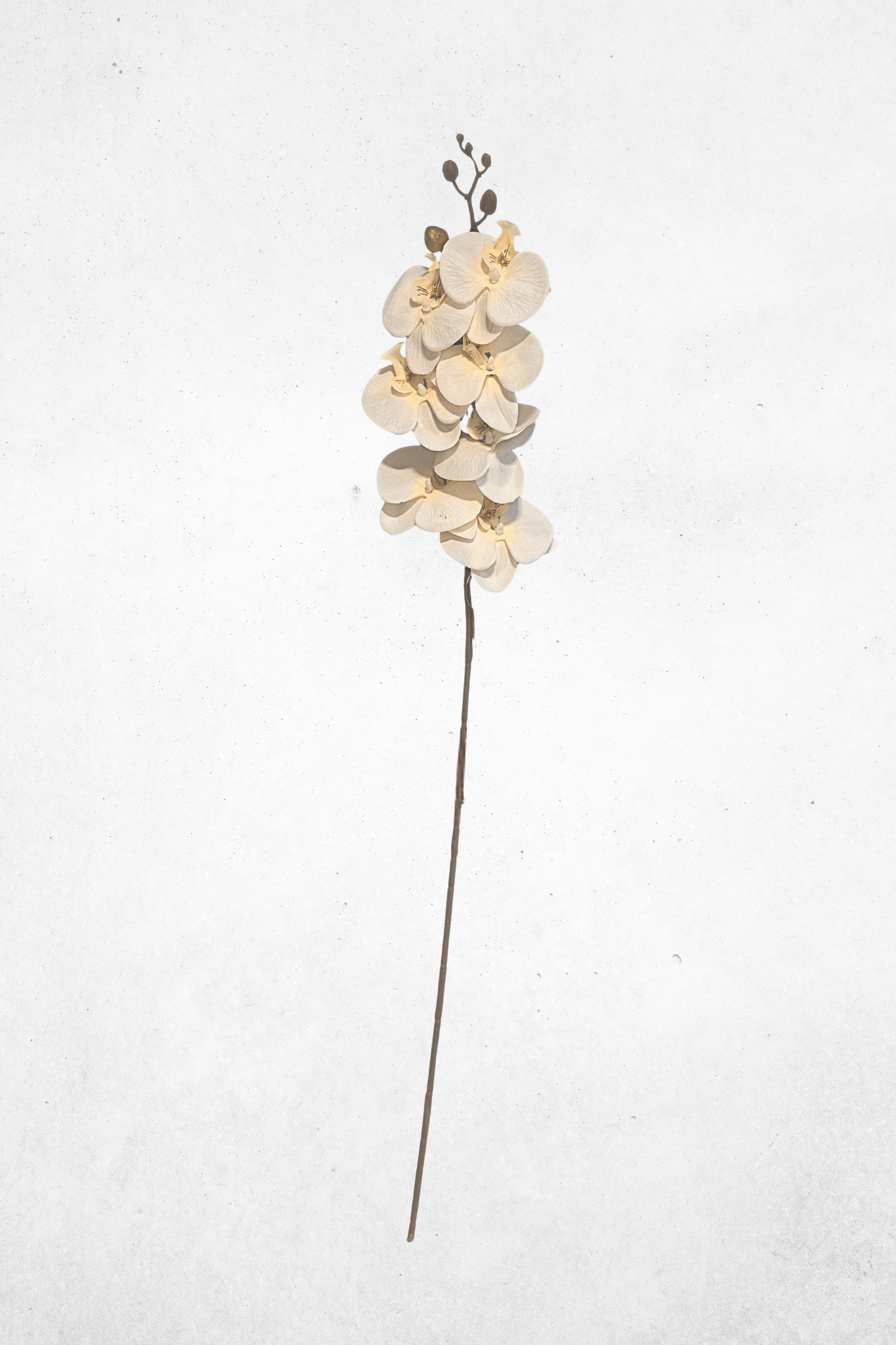 Kunstblume Orchidee Beige 90cm