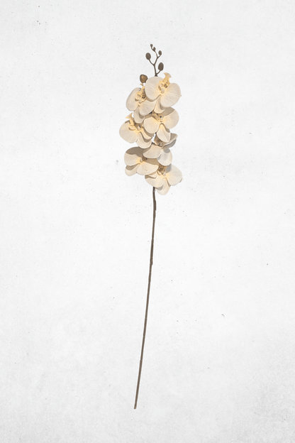 Kunstblume Orchidee Beige 90cm