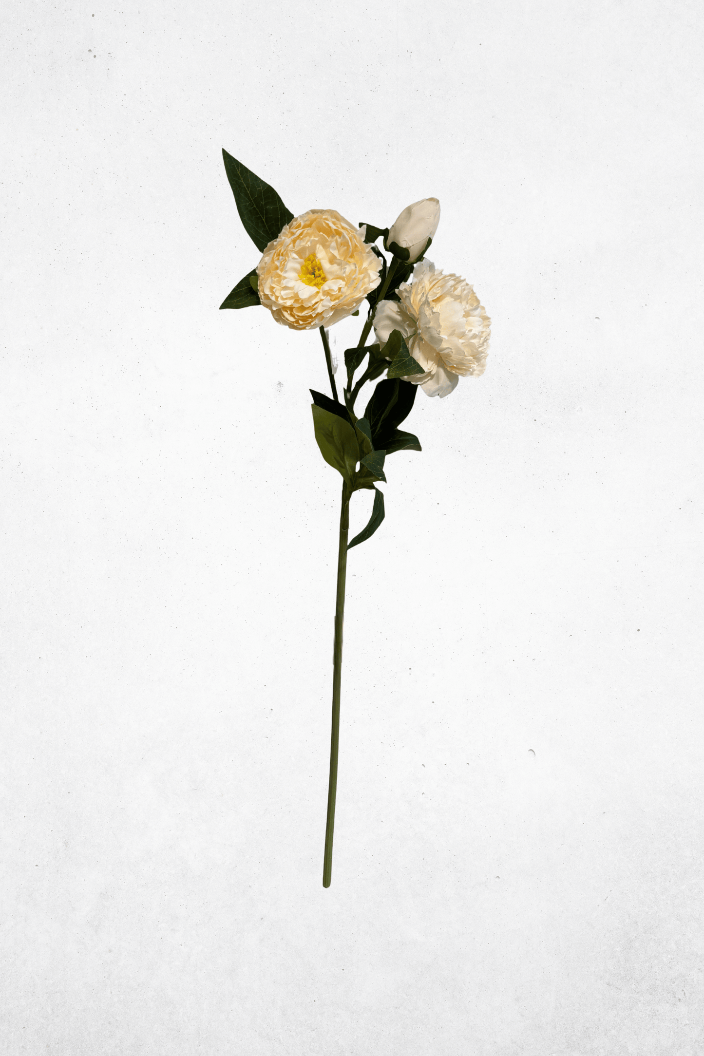 Kunstblume Pfingstrose 3-Köpfig Cremeweiß 75cm