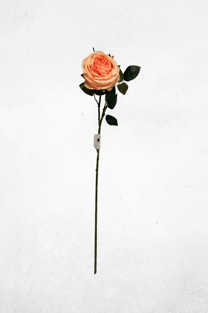 Kunstblume Pfingstrose Aprikose 73cm