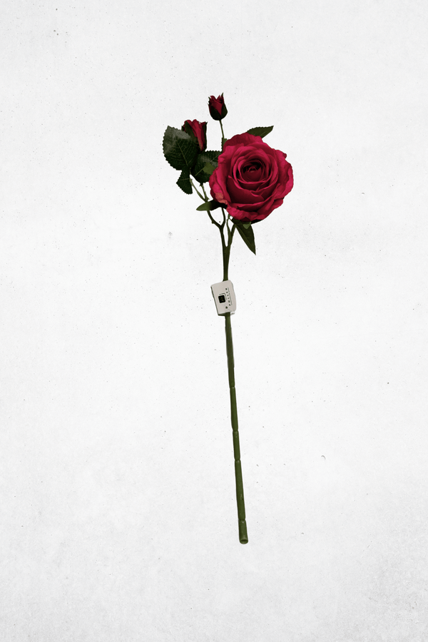 Rot-Rosa-Verlauf
