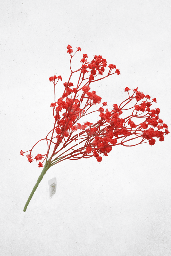 Rot