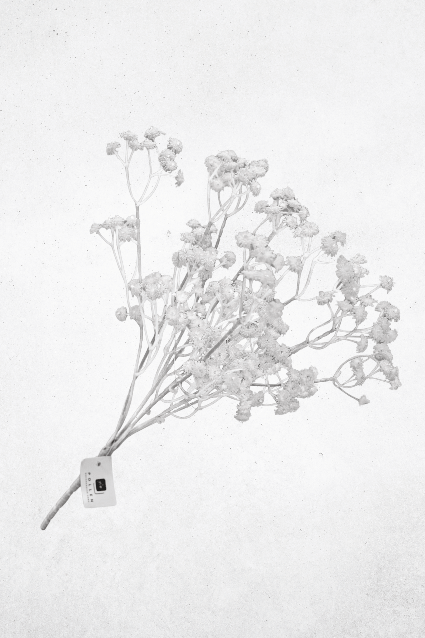 Kunstblume Schleierkraut Weiß 36cm