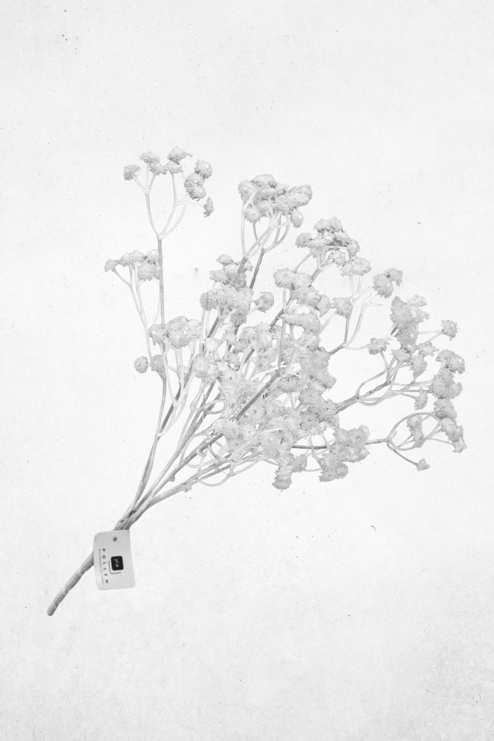 Kunstblume Schleierkraut Weiß 36cm