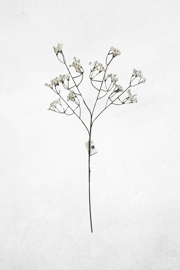 Kunstblume Schleierkraut Weiß Dunkelgrün - 64cm - Perfekte Kunstblume für Sträuße & Dekoration