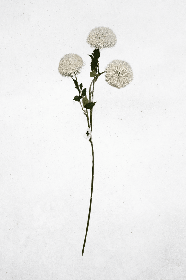 Kunstblume Zierlauch 3-Köpfig Weiss - 72cm - Kunstblume für moderne Arrangements & Deko